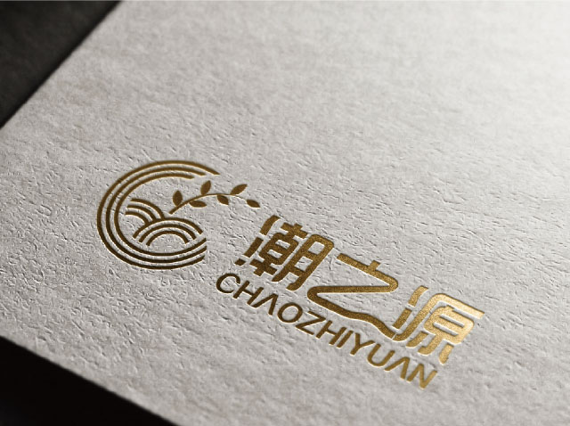 深圳食品logo设计-潮之源标志外卖配送标志设计0.jpg